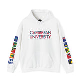 Sudadera con capucha de tres paneles de la Universidad del Caribe, diseñada para estudiantes caribeños o de ascendencia caribeña. Regalo, orgullo caribeño, prenda abrigada.