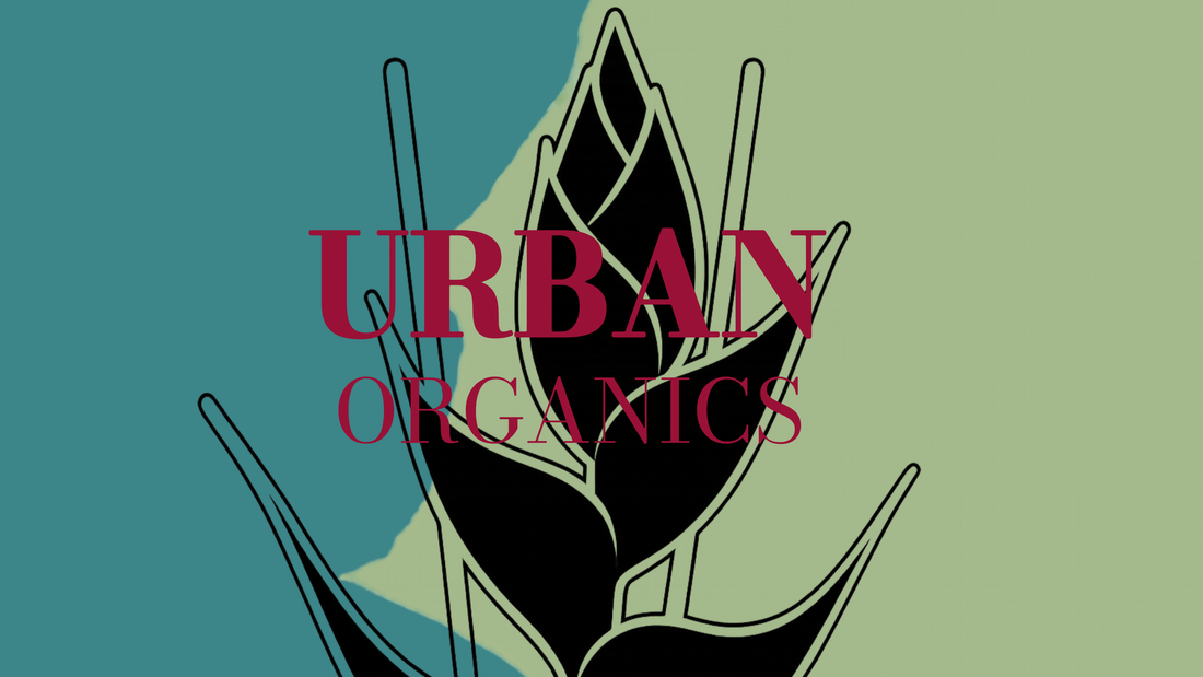 Urban Organics: Where Nature Meets the Streets